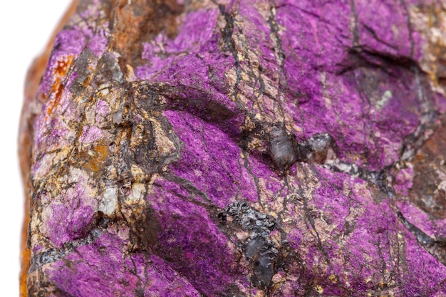 Macro mineral stone purpureus purple purpurite in the breed a white background