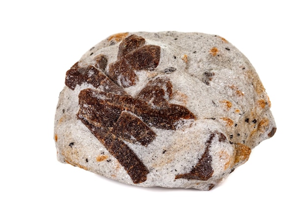 Macro mineral stone Staurolite on a white background