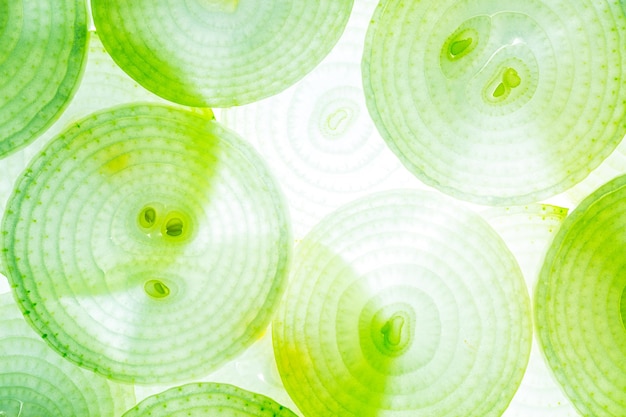 Macro onion,Full frame onion background ,texture,Colorful green and yellow leek slices. onion macro,