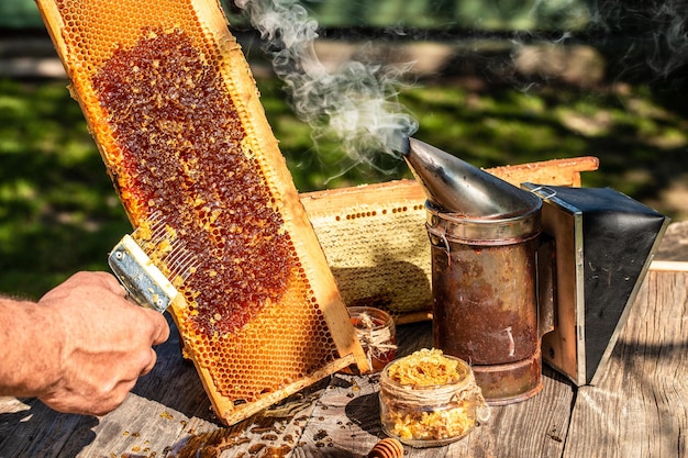 Macro photo of a bee hive on a honeycomb Bees produce fresh healthy honey Honey background Beekeeping concept