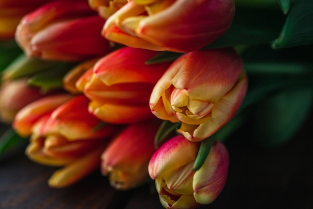 A macro photograph of tulips lies on a brown wooden background