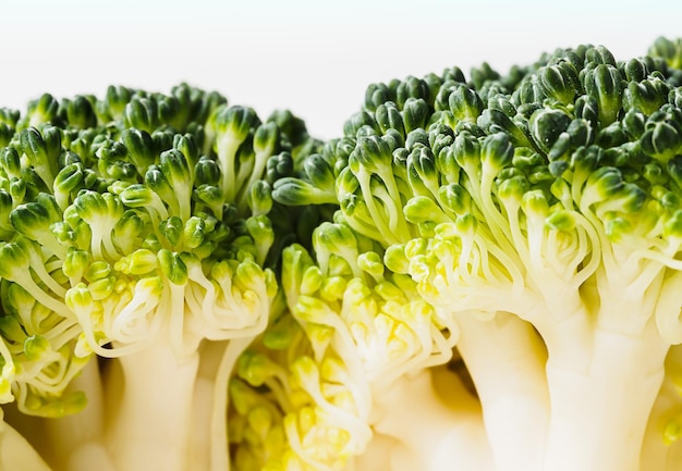 Macro photography of broccoli fragment of the trunk and greenery