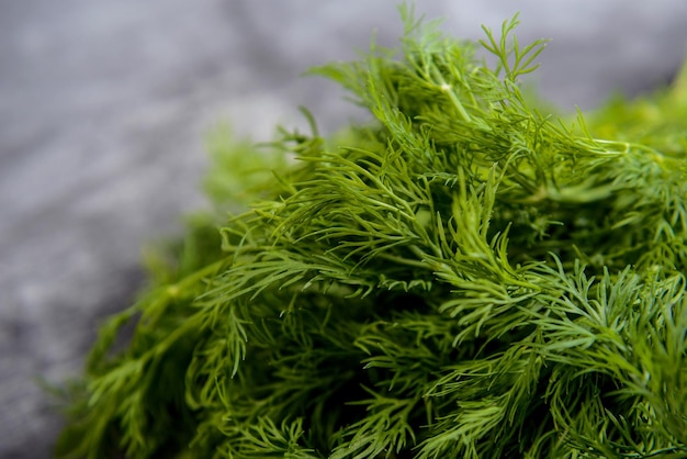 Macro picture of green dill on grey table