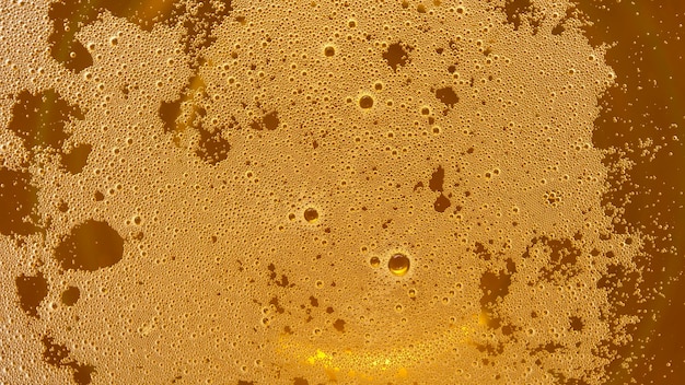 Macro shot of beer bubbles