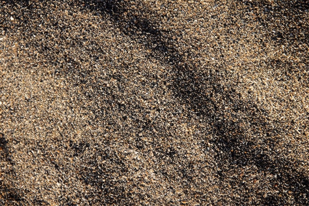 Macro Shot of Detailed Ground Texture