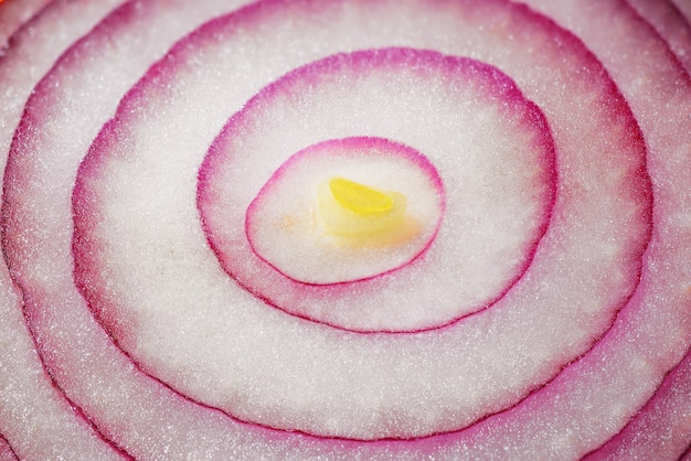 Macro shot of red onion slice