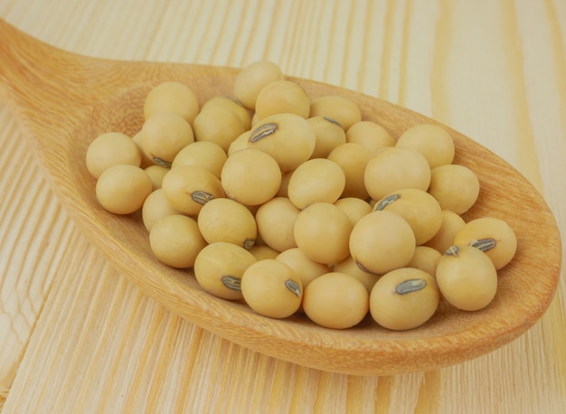 macro soy beans in  wooden spoon