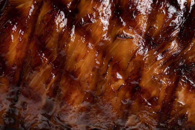 Macro texture of grilled steak