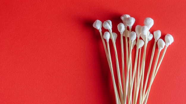 Macro View of Cotton Buds