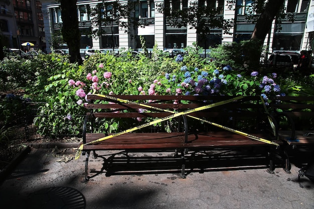 Madison square in New York city of United States