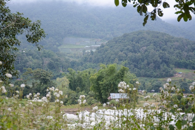 Mae Klang Luang in Chiang Mai, Thailand