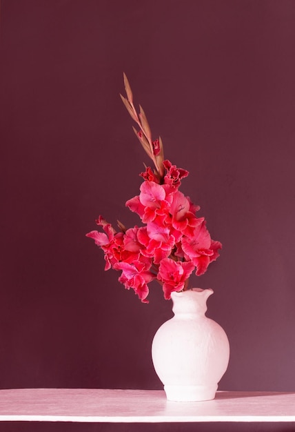 Magenta gladiolus in white vase on background dark wall