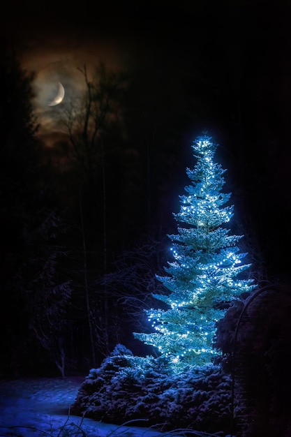 Magic Christmas landscape Tall fir tree with burning garlands in a snowy night winter forest with the moon in the sky