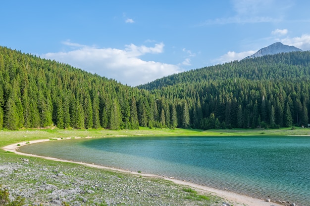 The magnificent Black Lake is located in the National Park Durmitor in the north of Montenegro.