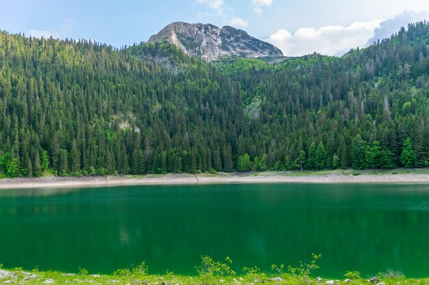 The magnificent Black Lake is located in the National Park Durmitor in the north of Montenegro