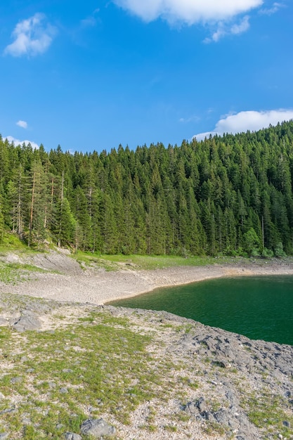 The magnificent Black Lake is located in the National Park Durmitor in the north of Montenegro