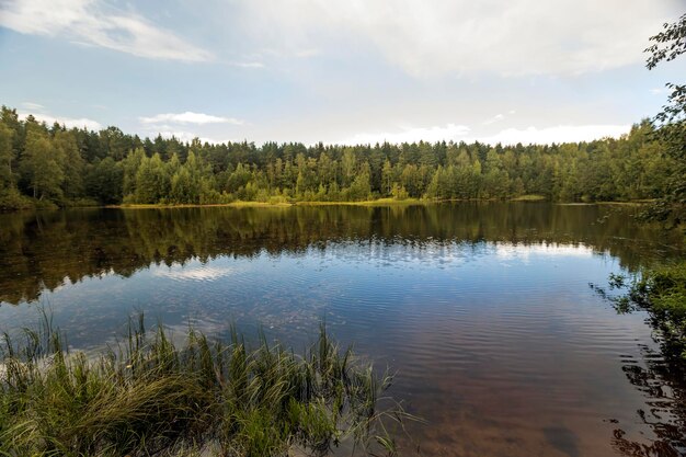 Magnificent landscape with a view of the lake reflection of trees and clouds