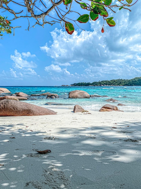 magnificent Seychelles beach white sand and turquoise water with vegetation