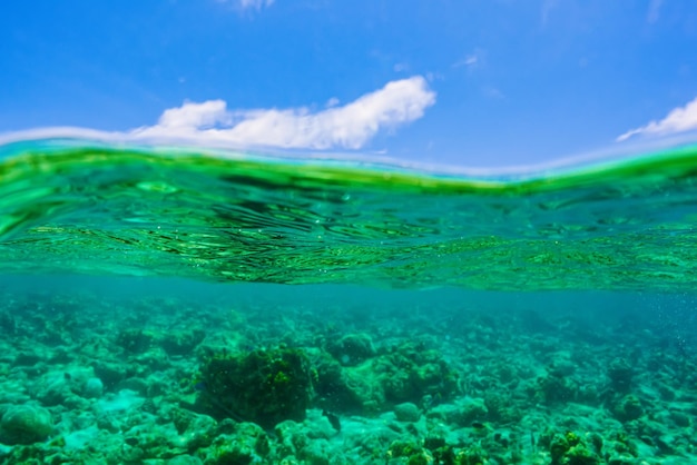 The magnificent underwater world of the Maldives