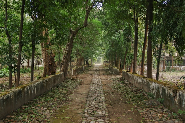 Maharishi Mahesh Yogi's Ashram