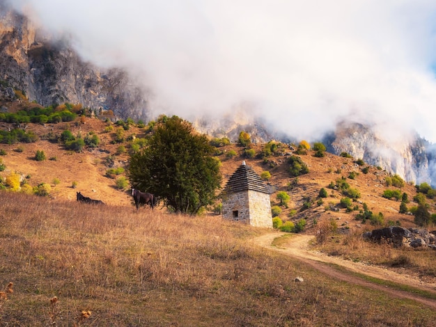 Majestic ancient tower buildings of Kelly and old family crypts in the Assinesky Gorge of mountainous Ingushetia one of the medieval castletype tower villages located on the mountain range Russia