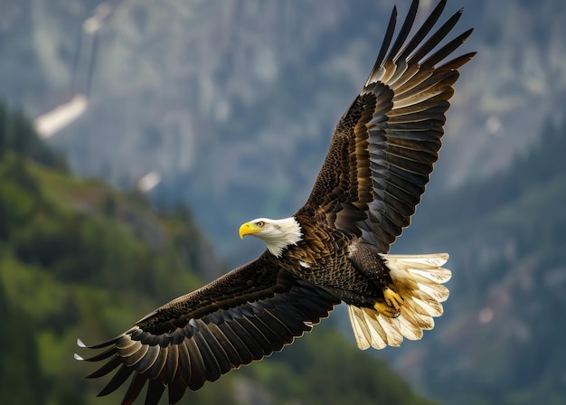 Majestic Bald Eagle Soaring Over Mountain Landscape