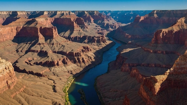 Majestic Eagle Soaring Over a Grand Canyon