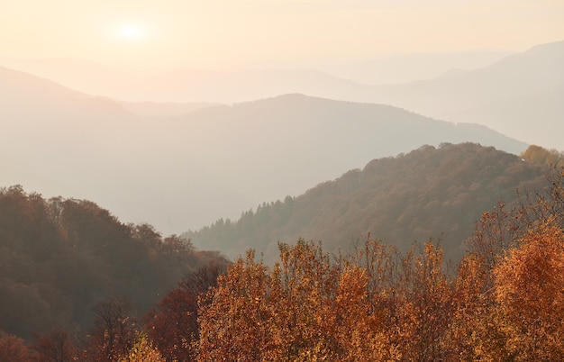 Majestic landscape of autumn trees and mountains by the horizon