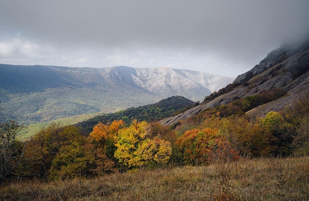 Majestic morning mountain landscape with colorful forest and cloudy sky