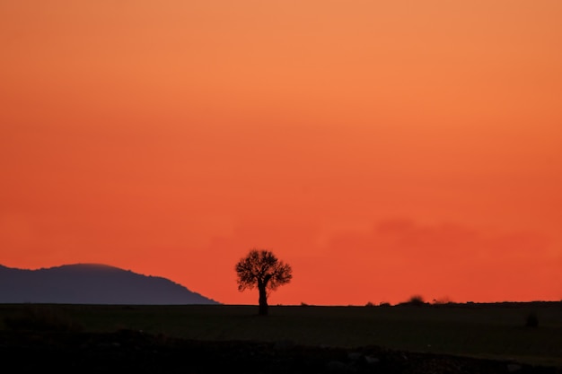 Majestic sunset in the mountains landscape