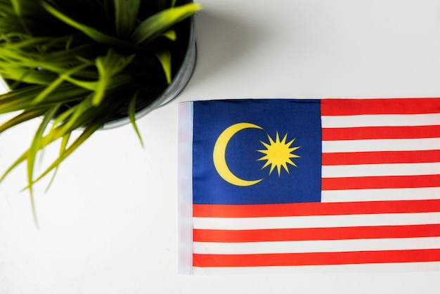 Malaysia's national flag