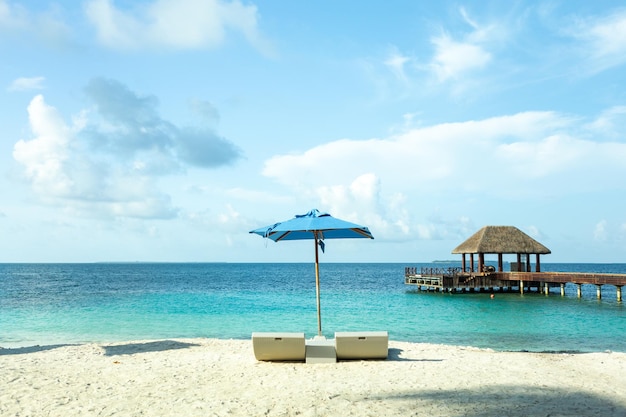 Maldive luxury beach chairs with clear sea water blue sky and coconut tree