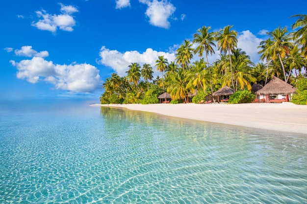 Maldives island beach. Tropical landscape of luxury summer scenery, white sand with palm trees