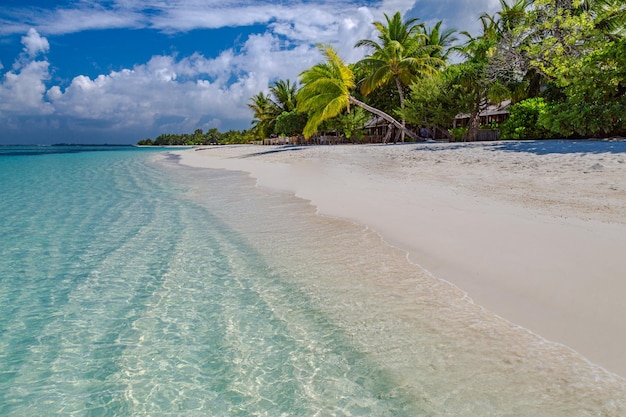 Maldives island shore. Tropical paradise, sea lagoon, seaside sand palm trees. Amazing landscape