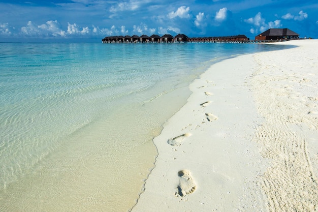 Maldives island with beach