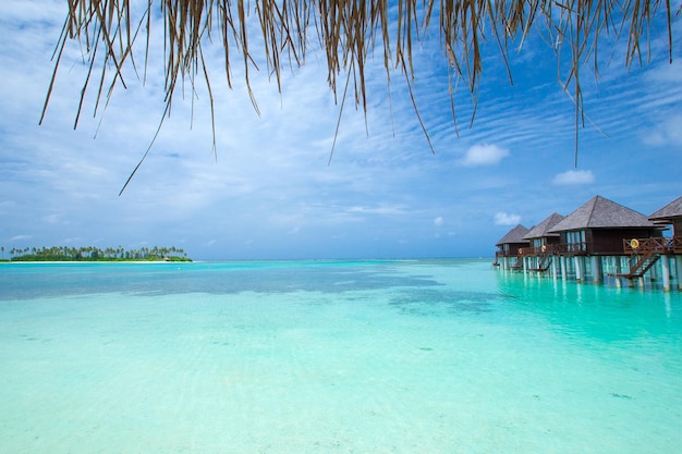 Maldives island with beach