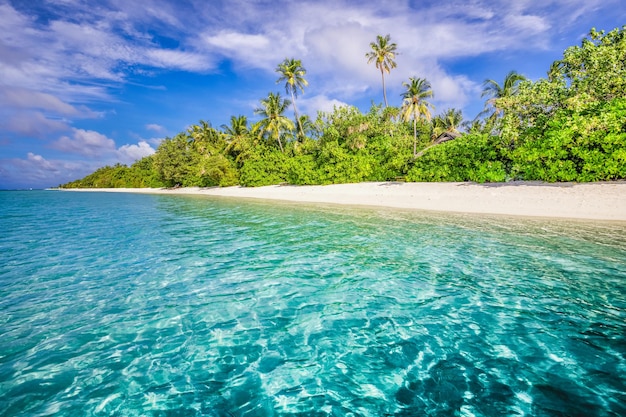 Maldives islands ocean tropical beach. Exotic sea lagoon, palm trees over white sand. Idyllic nature