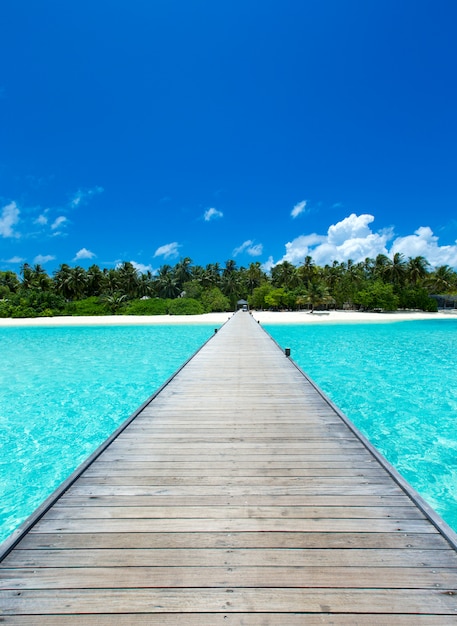 Maldives water bungalow on ocean water landscape