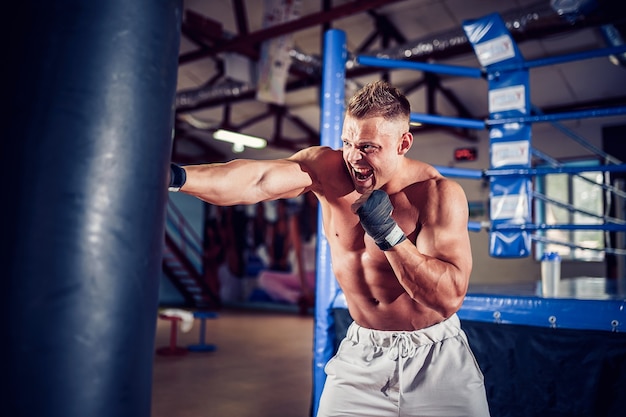 Male boxer training with punching bag in dark sports hall. Young boxer training on punching bag. 