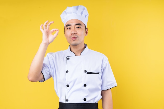 Male chef portrait, isolated on yellow background