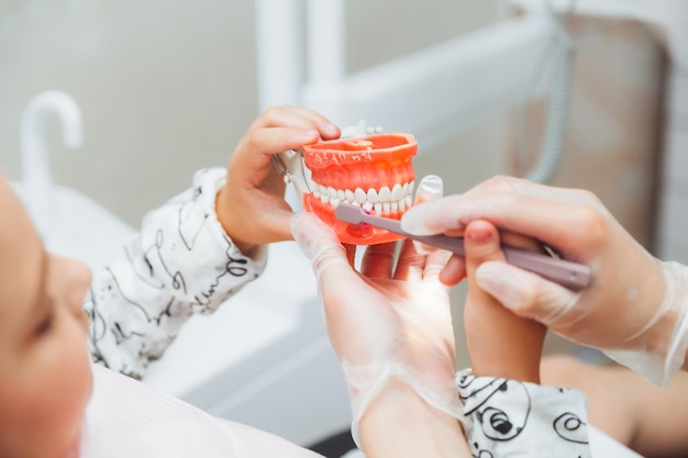 A male dentist in a medical uniform shows a little girl how to properly brush her teeth on a jaw model Dentistry concept