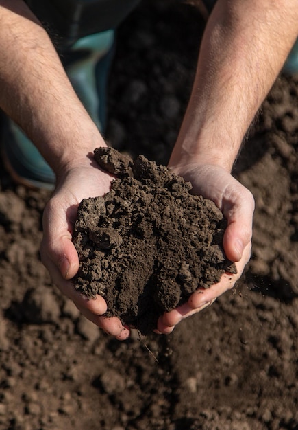 Male farmer in the field checks the soil Selective focus