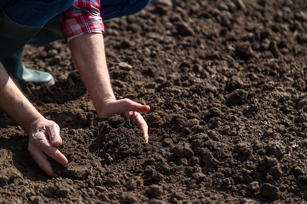 Male farmer in the field checks the soil Selective focus