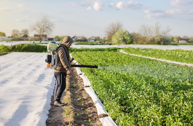 Male farmer with a mist sprayer processes potato bushes with chemicals Protection cultivated plants