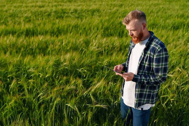 A male farmer with a tablet is standing in a wheat field An agronomist with a beard in a plaid shirt and jeans during an inspection Tightening of quality in connection with the food crisis