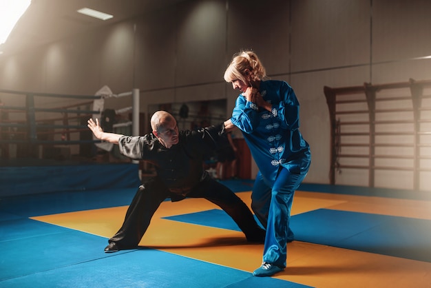 Male and female wushu fighters exercises indoor