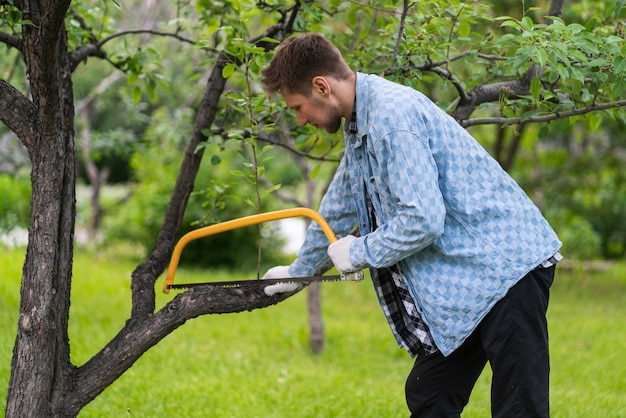 A male gardener in checkered shirt cuts the tree branch with a yellow saw