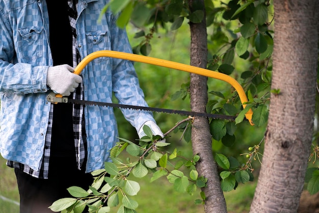 A male gardener in checkered shirt cuts the tree branch with a yellow saw