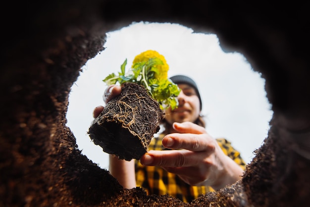 Male gardener holding flowers view from below high quality photo