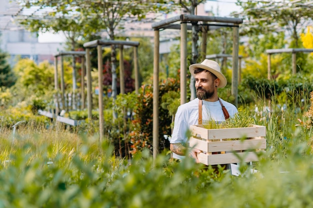 Male greenhouse worker with wooden box in hands and walking among proud man farm business owner